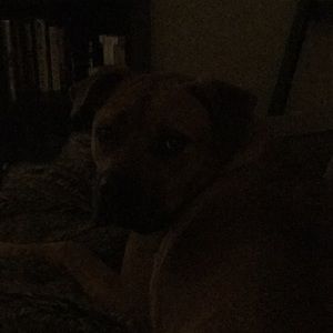 Meet your Posher, Jeff